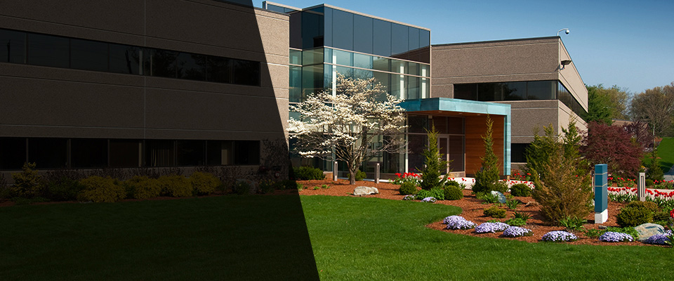 San Bernardino Landscapers