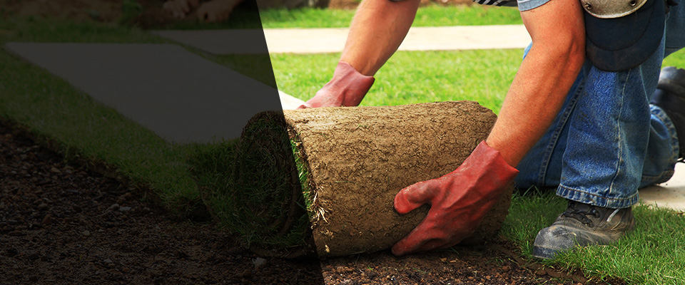 San Bernardino Landscapers